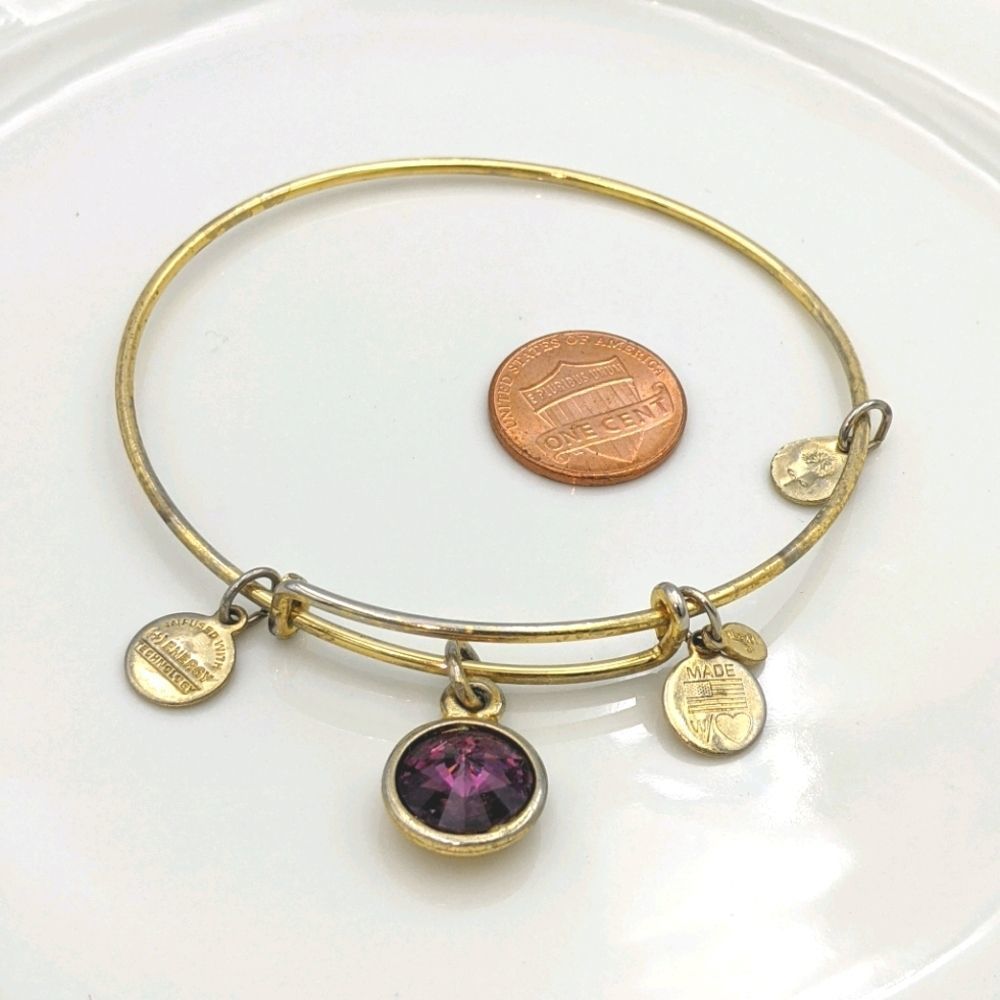 Alex and Ani Rafaleian Gold Amethyst Feb Bracelet